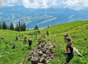 WWF Einsatz - Hecke pflegen und Wiesel fördern