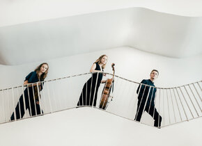 Kammermusik Luzern: Amelio Trio