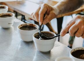 Coffee Cupping Session im BLEU DU MONDE