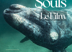 Première : OCEAN SOULS de Philip Hamilton