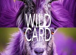 Wild Card