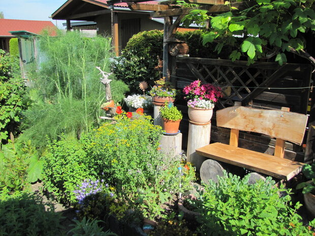 Garten und Topf das ganze Jahr geschmückt