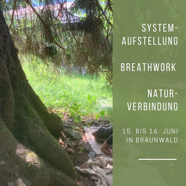 Systemaufstellung - Breathwork - Natur: Seminar in...