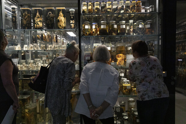 Süsses und Saures im Naturlabor: Halloween im Museum