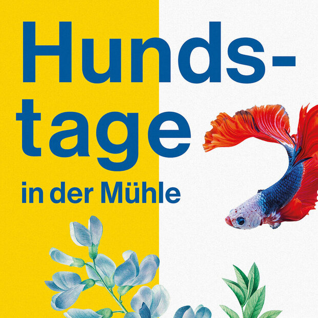 Hundstage – TirzaKaja​​​​​​​ & Melina...