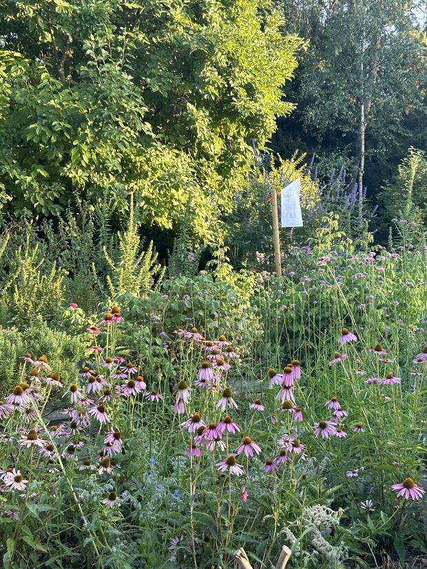 „Holy Wow! Den Klostergarten entdecken“  Sommerfest...