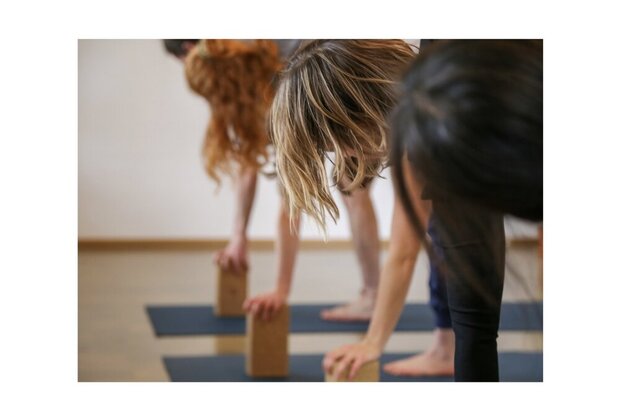 Yoga Beginner Workshop