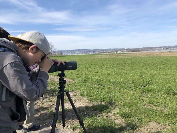 Fotokurs: Zugvögel auf der Durchreise