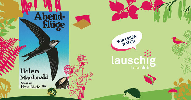 lauschig-Leseclub - Lauren Groff: «Die weite Wildnis»