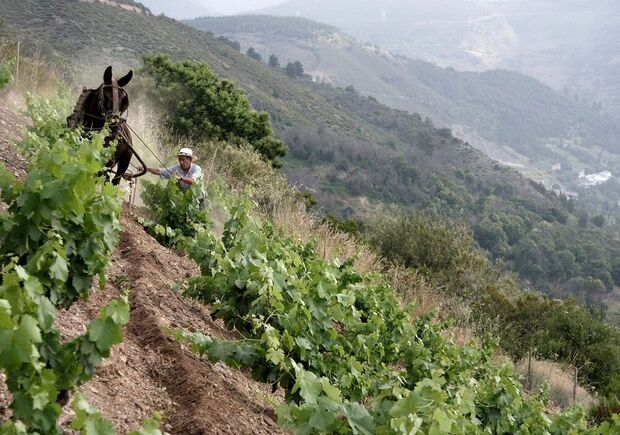 Der Nordwesten Spaniens: Degustation bei Baur au Lac Vins