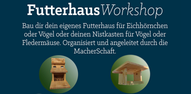 Workshop: Futterhaus für Eichhörnchen/Vögel