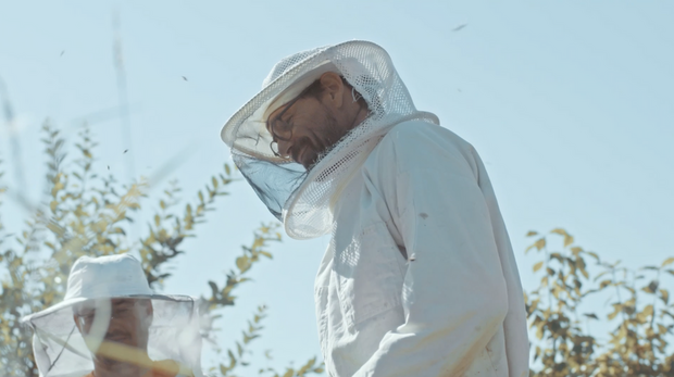 BIENEN VERSTEHEN / IMKER*IN WERDEN