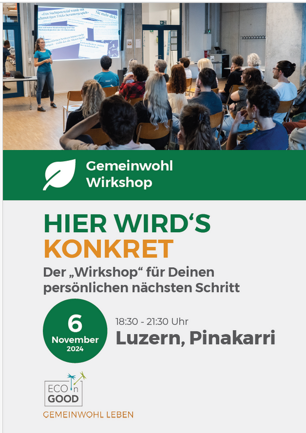 Gemeinwohl Wirkshop Luzern