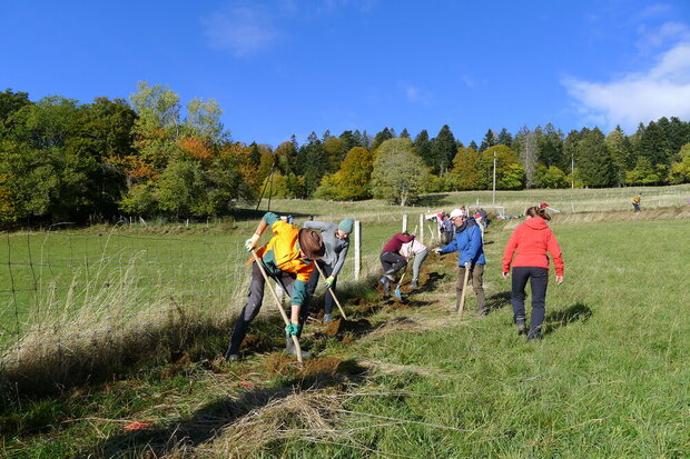 Wildhecken pflanzen am 26.10.2024 - sei dabei!