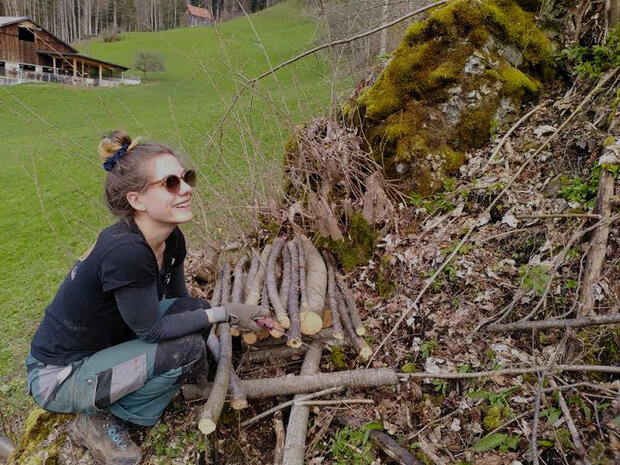 WWF Einsatz - Hecke pflegen und Wiesel fördern