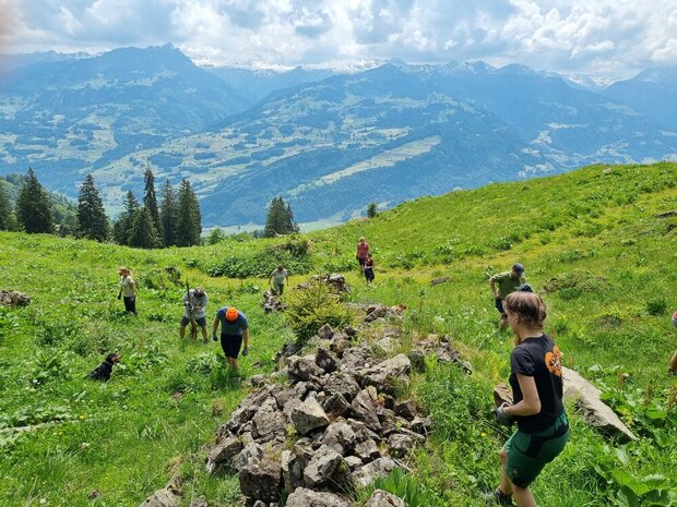 WWF Einsatz - Hecke pflegen und Wiesel fördern