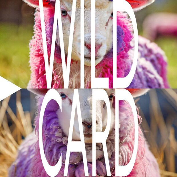 Wild Card