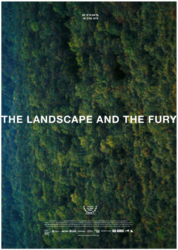 The Landscape and the Fury