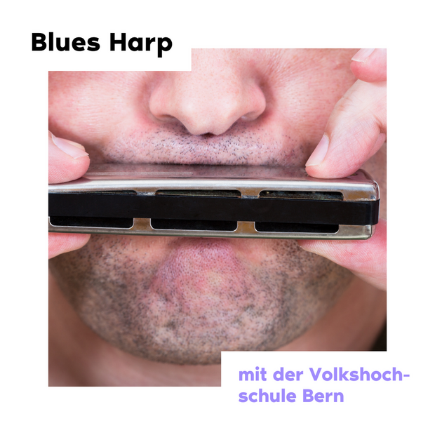 Blues-Harp Kurs für Einsteiger:innen