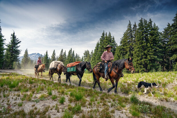 Long Way Home - 5000 km durch die Wildnis