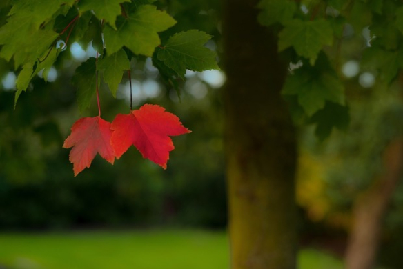 J'aime septembre parce que...