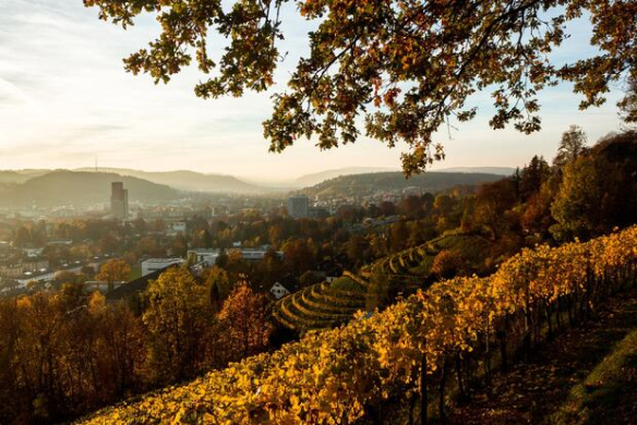 Rezepte für den Herbst