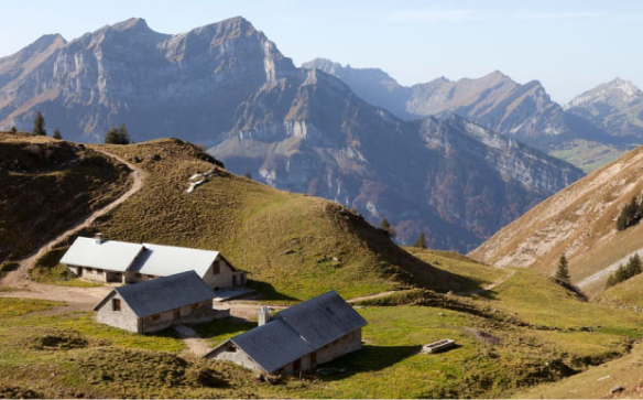 Knochenjob auf der Alp