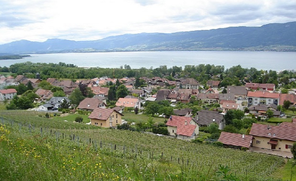 CHEYRES: Oui, oui, les vendanges, ça se fête