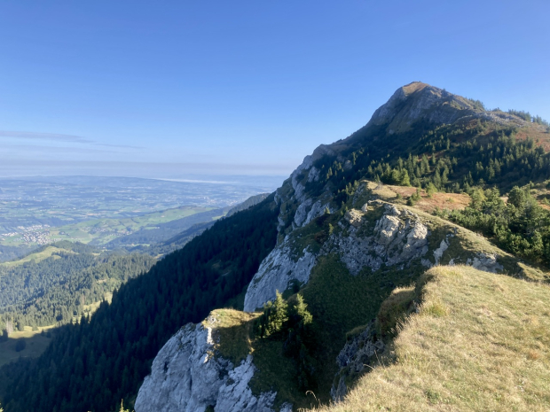 LUZERNPHOTOGEN