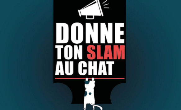 CAROUGE: Donne ton slam au chat!