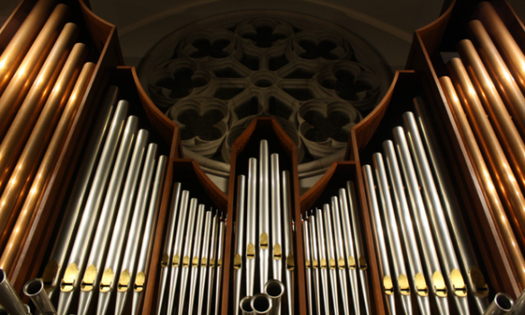 Tumult im Königreich Organum