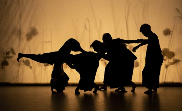 PORRENTRUY: Un envoûtant spectacle de danse