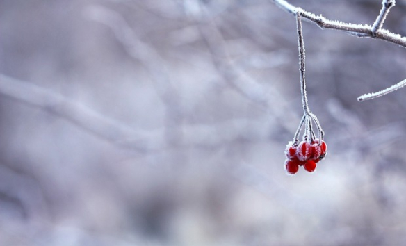 Über Leben im Winter