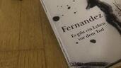 Fernandez - Es gibt ein Leben vor dem Tod (Roman)