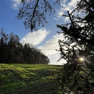 Verirrte Sonnenstrahlen