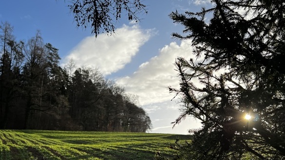 Verirrte Sonnenstrahlen