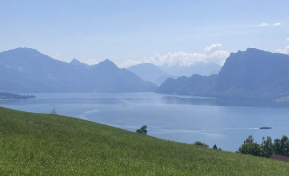 Mein Sonntagstipp: Vom Bireggwald auf den See blicken