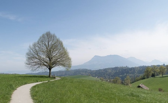 Mein Sonntagstipp: Alpenpanoramaweg mit Kaisu-Drink