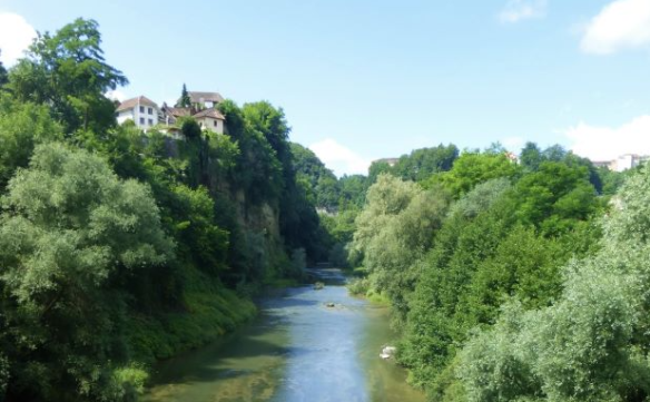 FRIBOURG: Un micro-safari au bord de la rivière