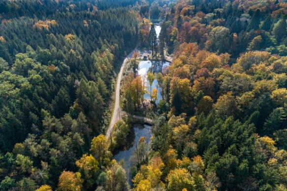 Kunst am Weiher