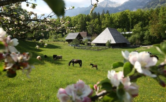 BALLENBERG: Une idée d’excursion pour ce week-end?