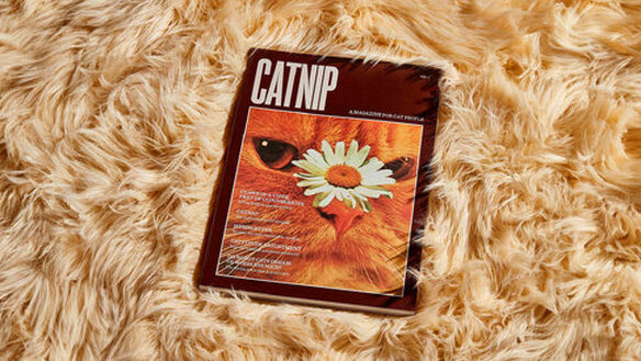 Catnip Magazine No. 1: Für Katzenliebhaber*innen