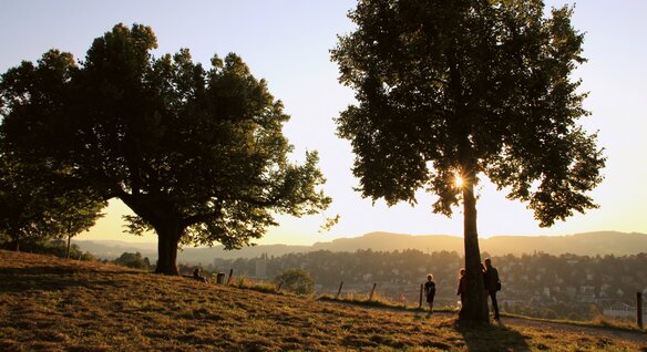 Sommertipp: Grillieren auf dem Freudenberg