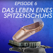 Das Leben eines Spitzenschuhs