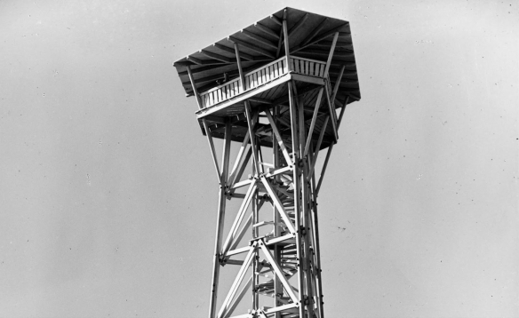 Zürich gratis: Aussicht vom Loorenkopf-Turm geniessen