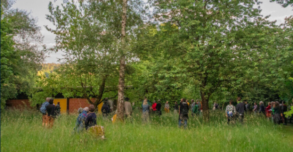 Klassisches Waldbaden mit literarischem Genuss