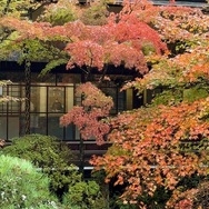 Herbst in Kyoto