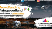 Crowdfunding Flyingwoodland 