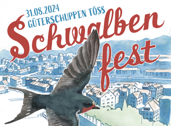 Schwalben fliegen zum Fest