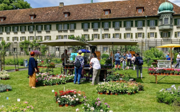 Natürlich im Kloster